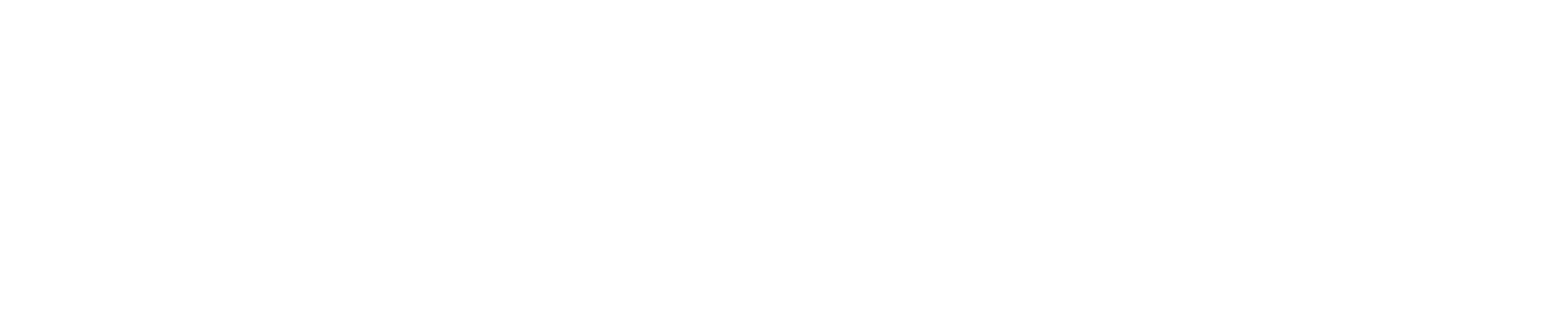Zona Tec