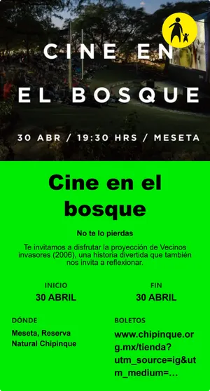 Cine en el bosque