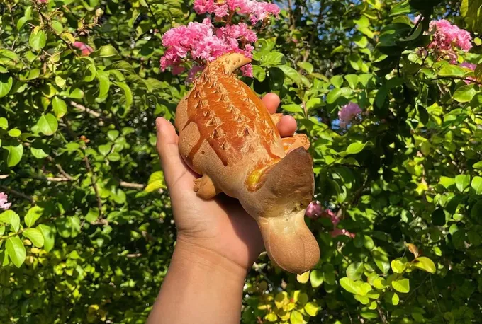 Panaderías de colonia de NL. Bocadipan: desde Tampico, la panadería artesanal con 28 años de trayectoria y panes rellenos en forma de cocodrilo y jaiba