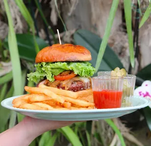 Resumen 2025. ¿Qué marcó el 2025? Aquí las notas favoritas de nuestros lectores: restaurantes con plantas, bares 'nice' en SPG y cafés 'kid-friendly'