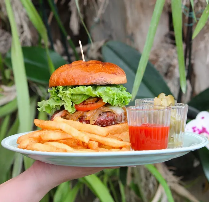 Resumen 2025. ¿Qué marcó el 2025? Aquí las notas favoritas de nuestros lectores: restaurantes con plantas, bares 'nice' en SPG y cafés 'kid-friendly'