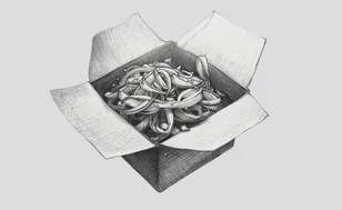 Tendencias 2025 - 2030. ¿Por qué la diferencia en promedio de pickup y delivery es mayor en San Pedro que en otras zonas de Nuevo León?