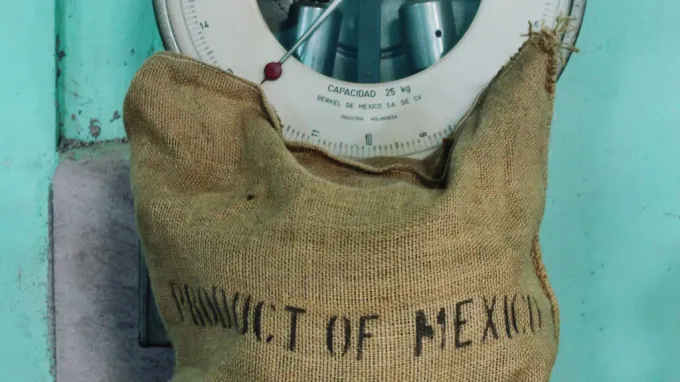 Café mexicano: el oro que regalamos al mundo