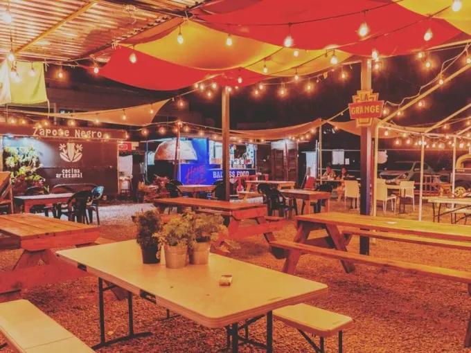 Junco de la Vega Zona Tec, Monterrey