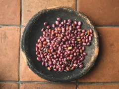 4 ingredientes nacionales que realzan el sabor en Vernáculo