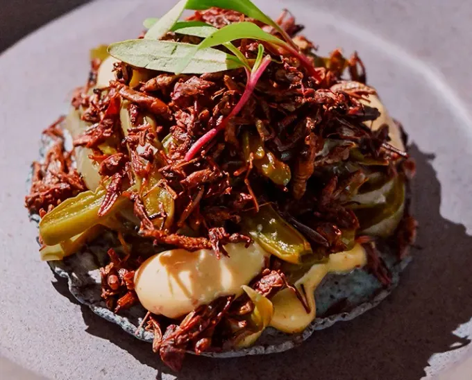 ¿Te gustan los chapulines y las hormigas? Lo que pasa es que ¡no los haz probado! Tatemate, el mexicano solo para conocedores.