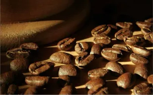 Un café bien tostado