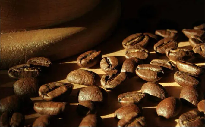 Un café bien tostado