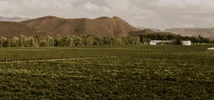 Casa Madero: Brandon y Daniel Milmo. De la herencia colonial a la energía renovable: Casa Madero y su camino hacia una bodega 100% sustentable