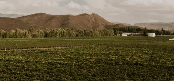 Casa Madero: Brandon y Daniel Milmo. De la herencia colonial a la energía renovable: Casa Madero y su camino hacia una bodega 100% sustentable