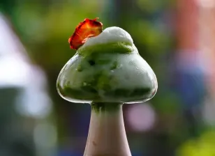 Adaptógenos: los extractos de hongos, plantas y raíces que mejoran la salud de manera orgánica, llegaron a las cafeterías de NL. Aquí 2 opciones en MTY