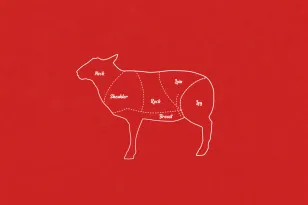 Cordero Americano: Historia, Producción y Ventajas de la Finalización en Grano