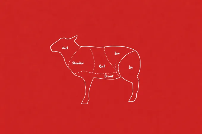 Cordero Americano: Historia, Producción y Ventajas de la Finalización en Grano