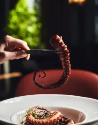 Para los que quieren elevar su comida durante Cuaresma: Carlos “El Sosofróstico” Solares nos comparte sus recomendaciones de vinos blancos mexicanos