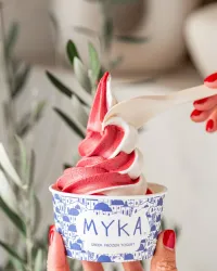 ¿Ya te pegó el calor? Aquí 4 lugares nuevos de postres frescos: helado de yogurt griego, paletas sanas de fruta natural, smoothies monchosos y fresas con crema — Gastronomía en Monterrey, Nuevo León
