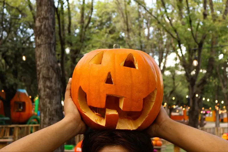 El otoño en MTY tiene algo que las otras estaciones no; aspiramos a vivir una versión estadounidense de la temporada: Pumpkin Spice, Halloween y parques de calabaza