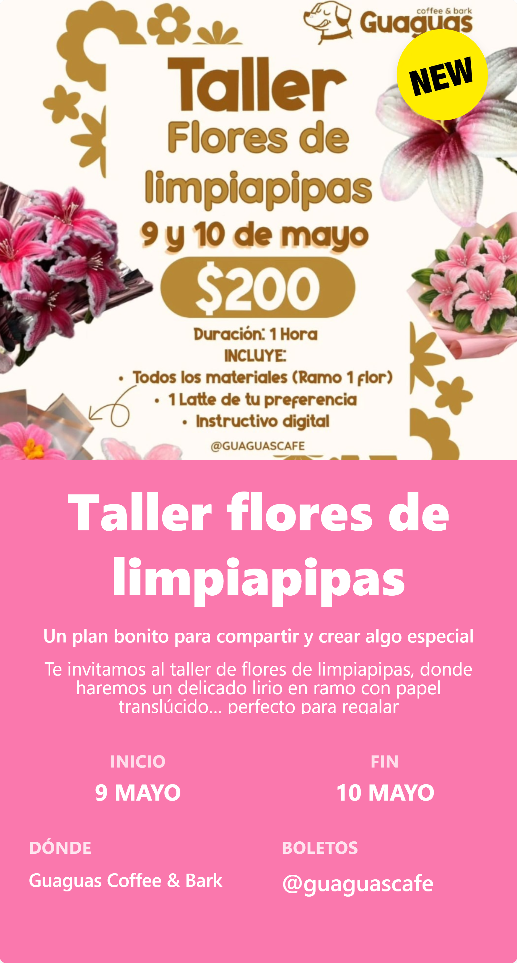 Taller flores de limpiapipas
