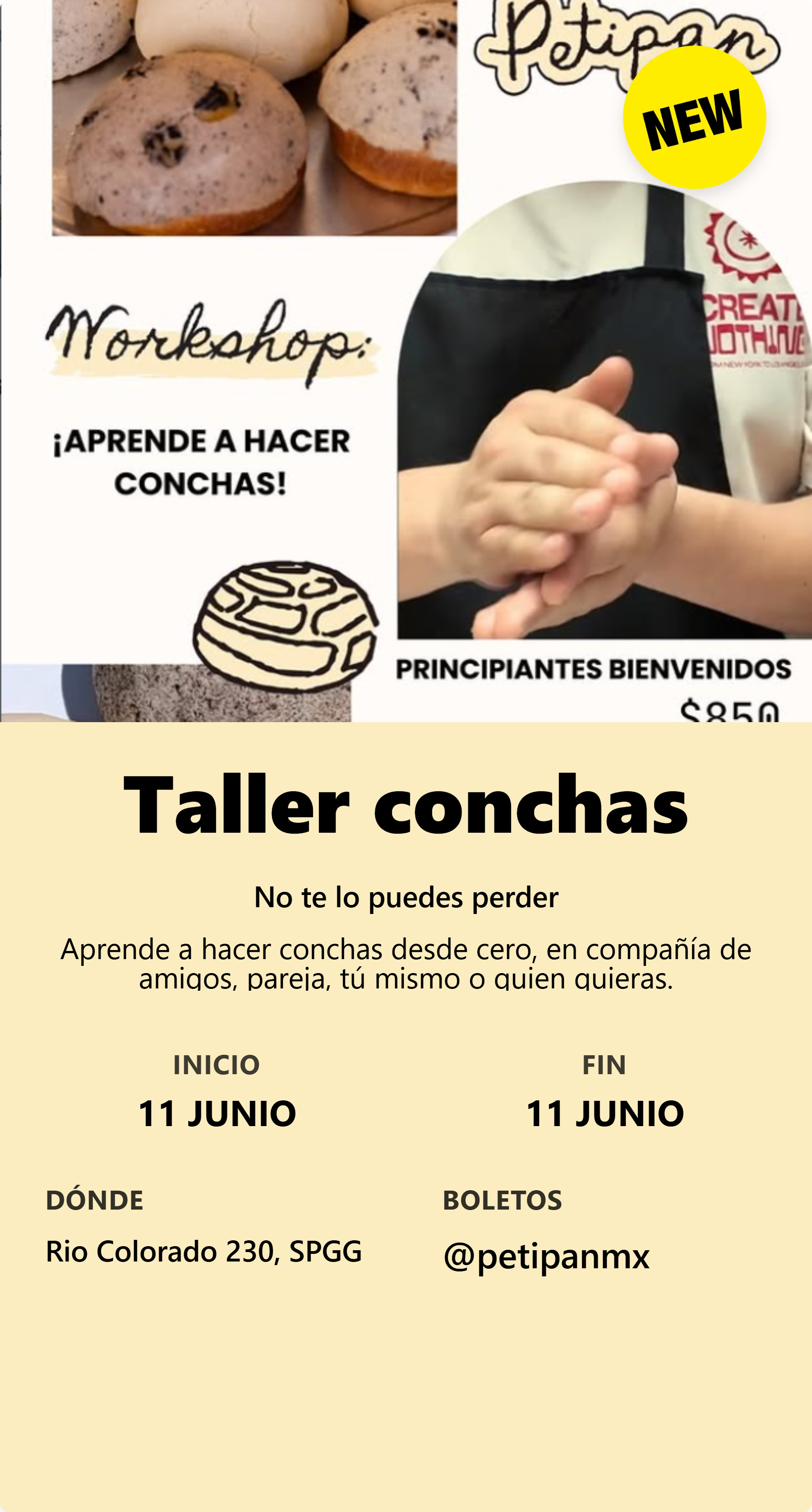 Taller conchas