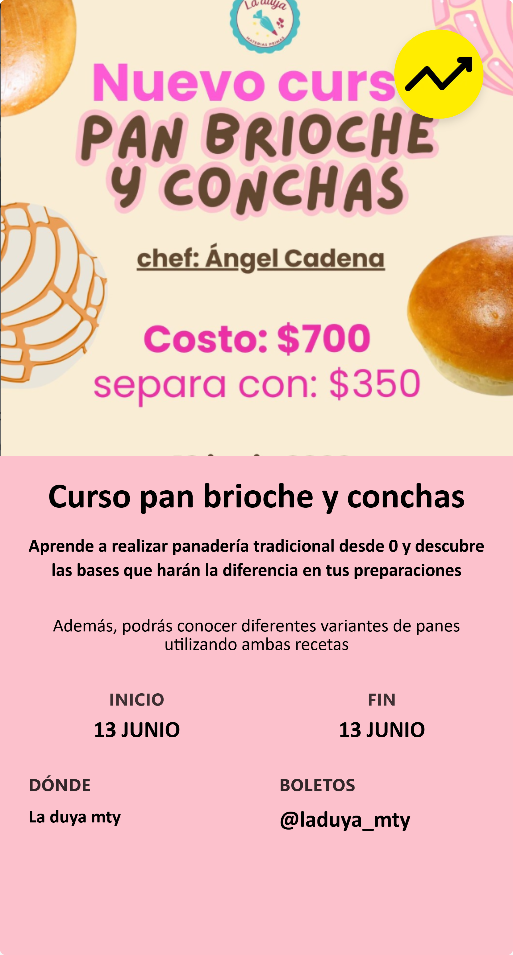 Curso pan brioche y conchas