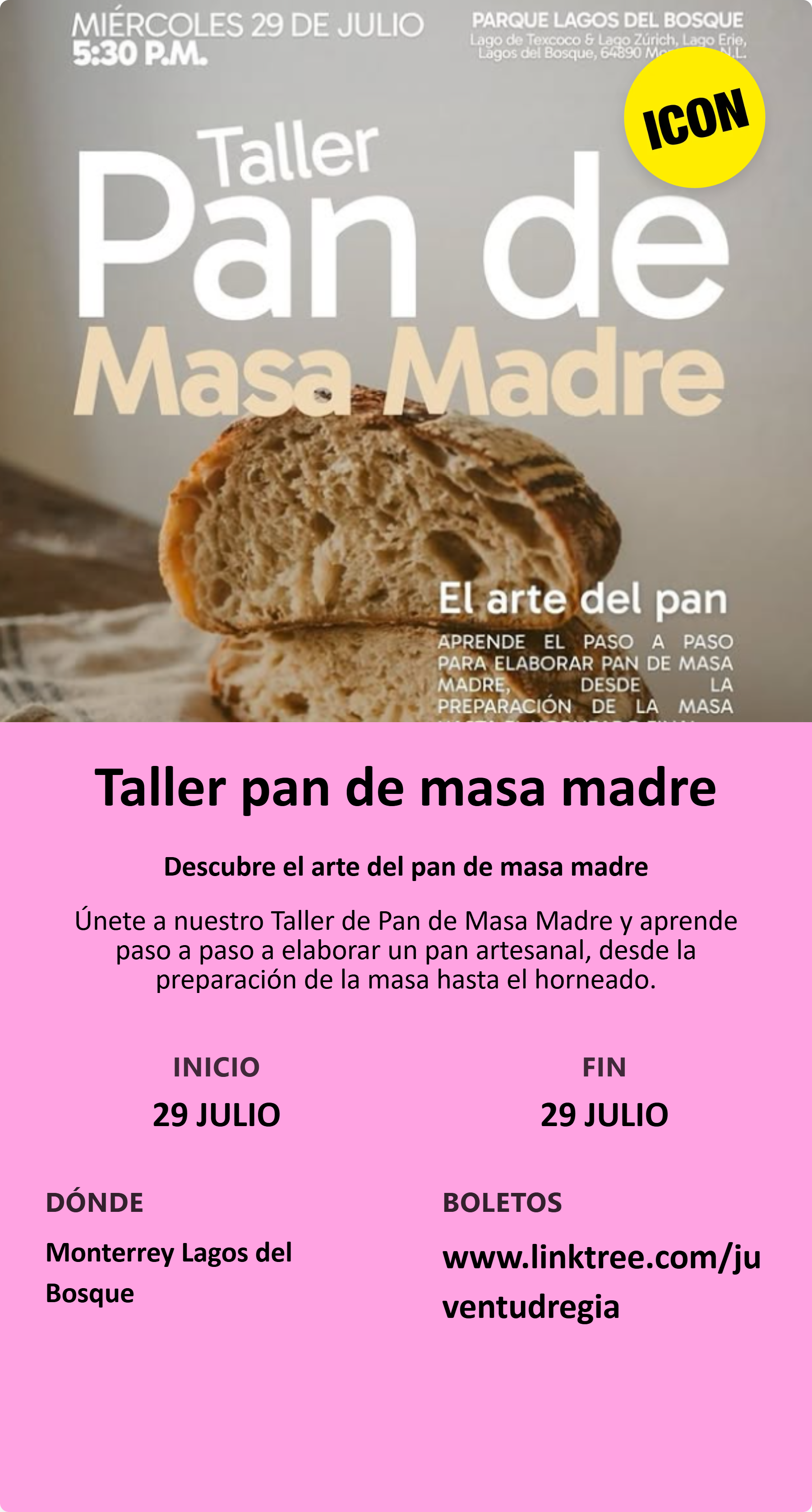 Taller pan de masa madre