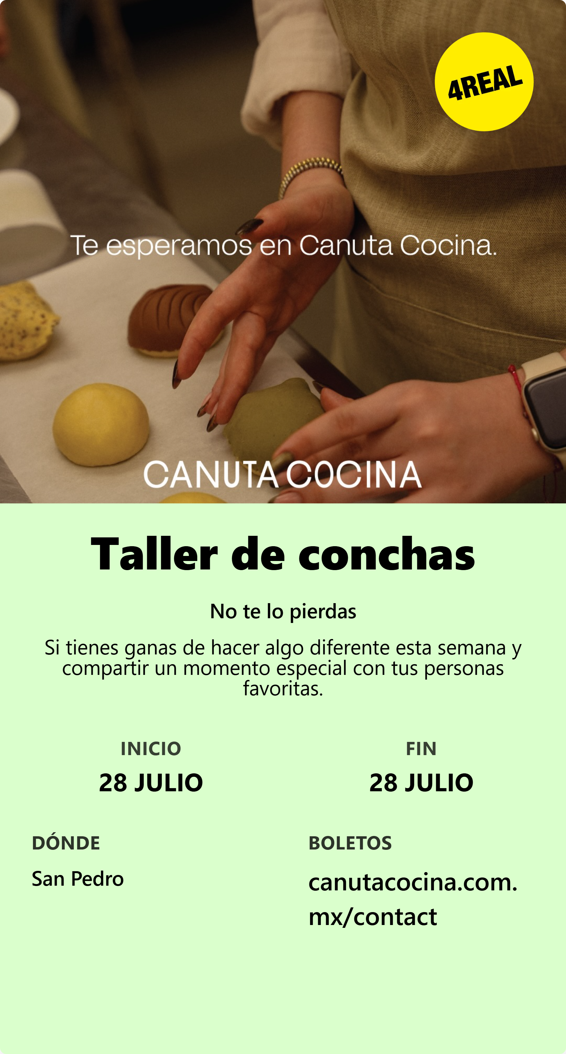 Taller de conchas