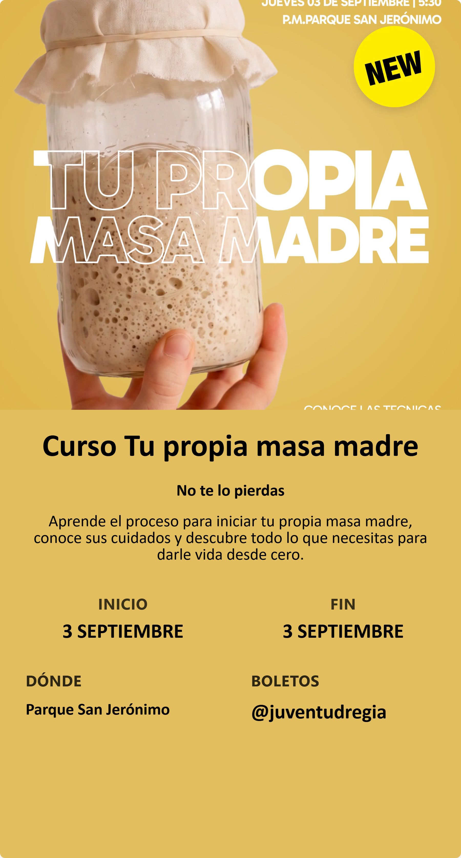 Curso Tu propia masa madre