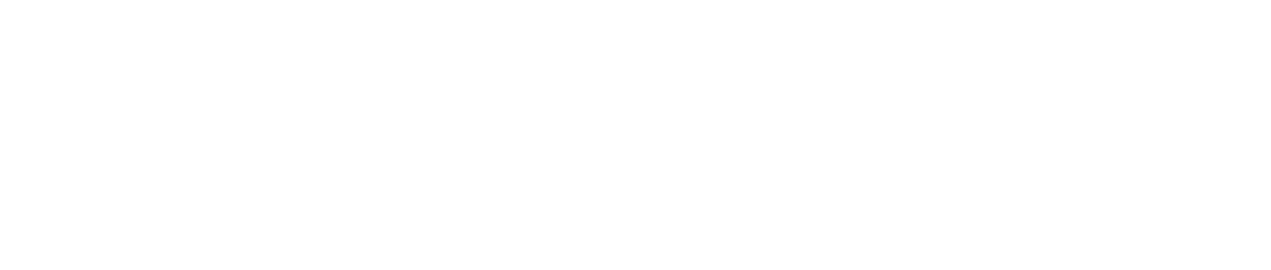 Guía NL Directorio