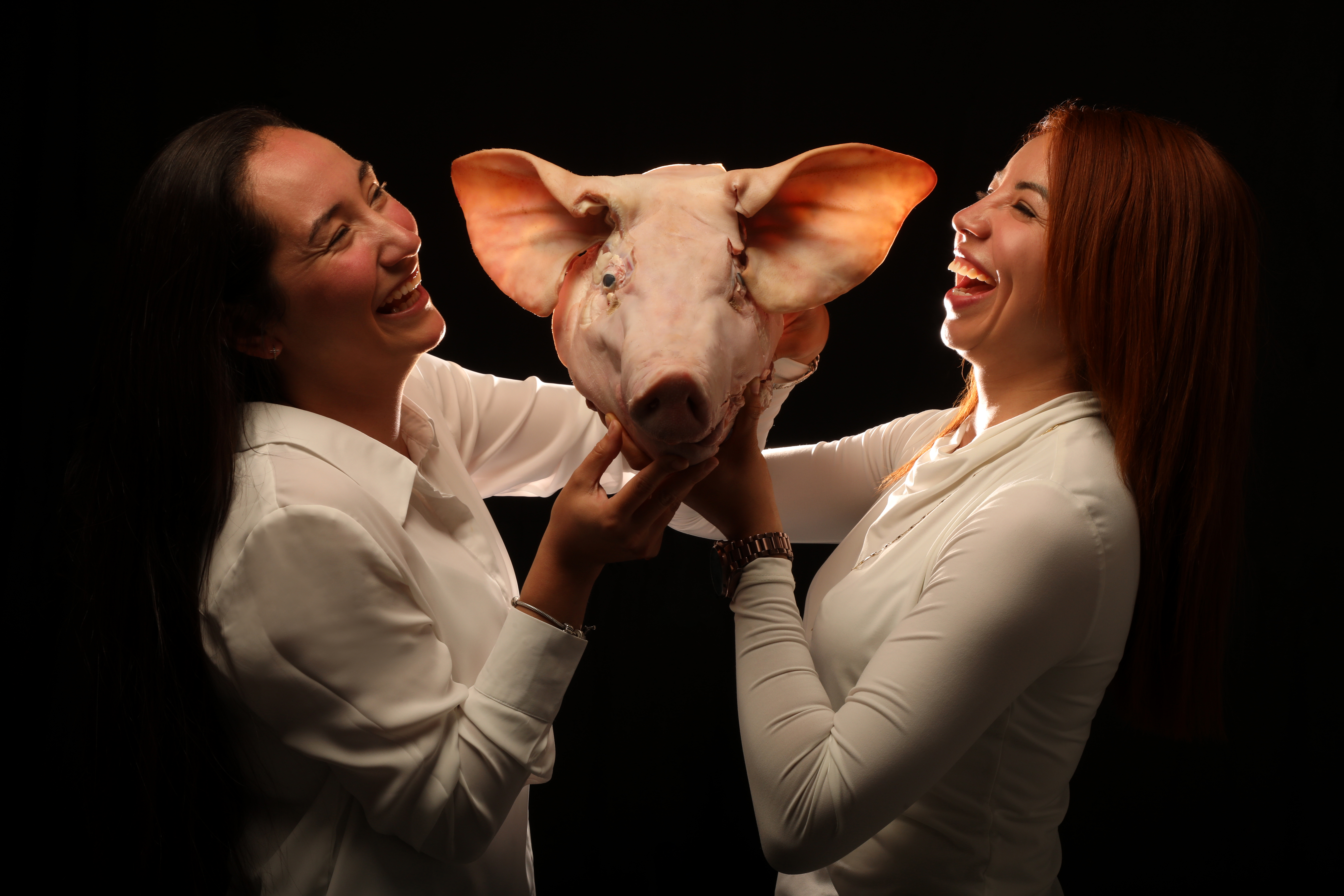 Retrato gastronómico