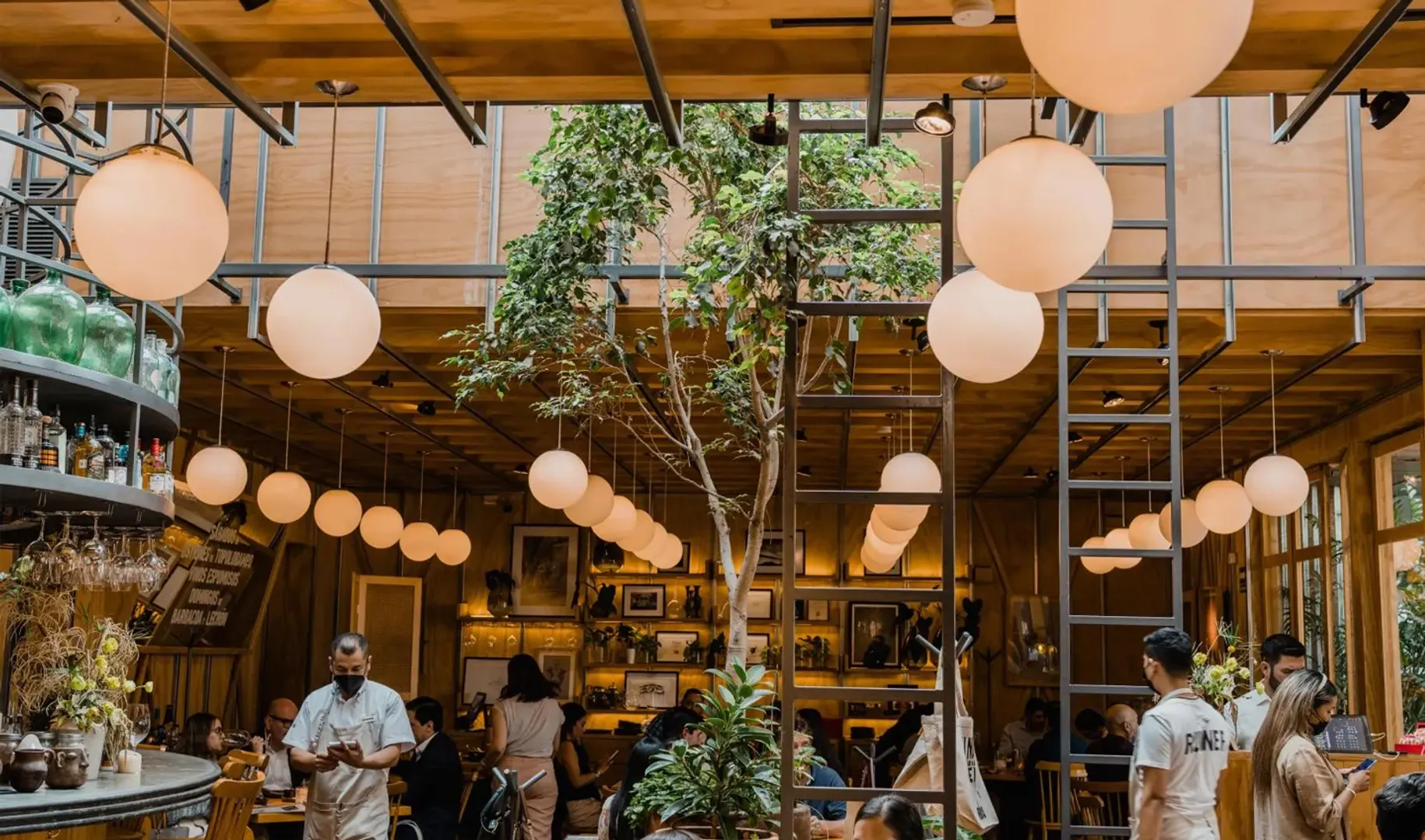 Cara de Vaca - Imagen 1