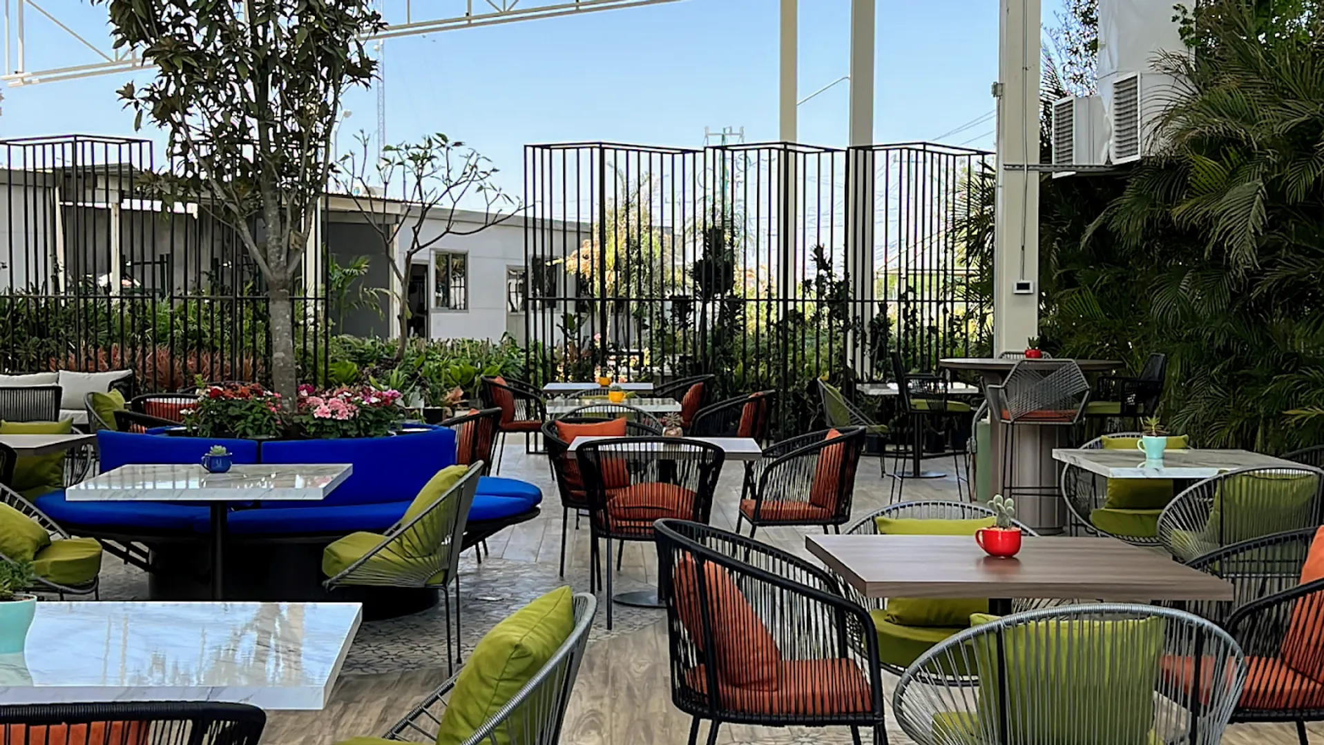 Divina Tierra - Imagen 2