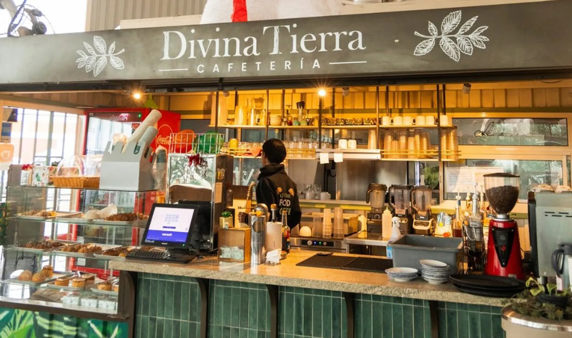 Divina Tierra - Imagen 1