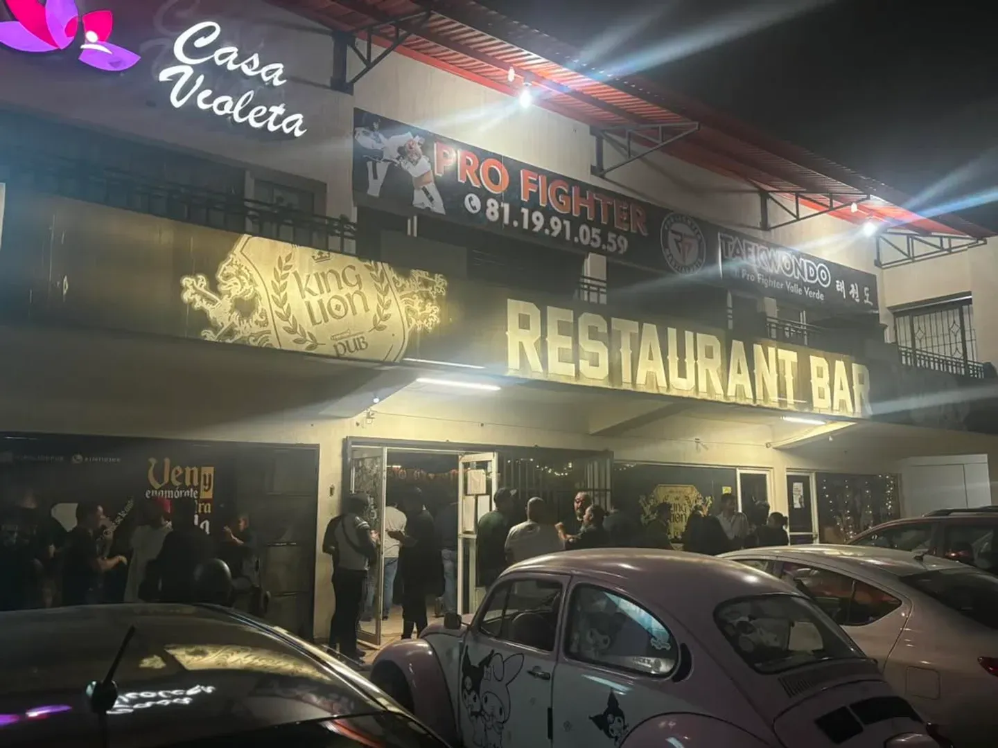 King Lion Pub - Imagen 1
