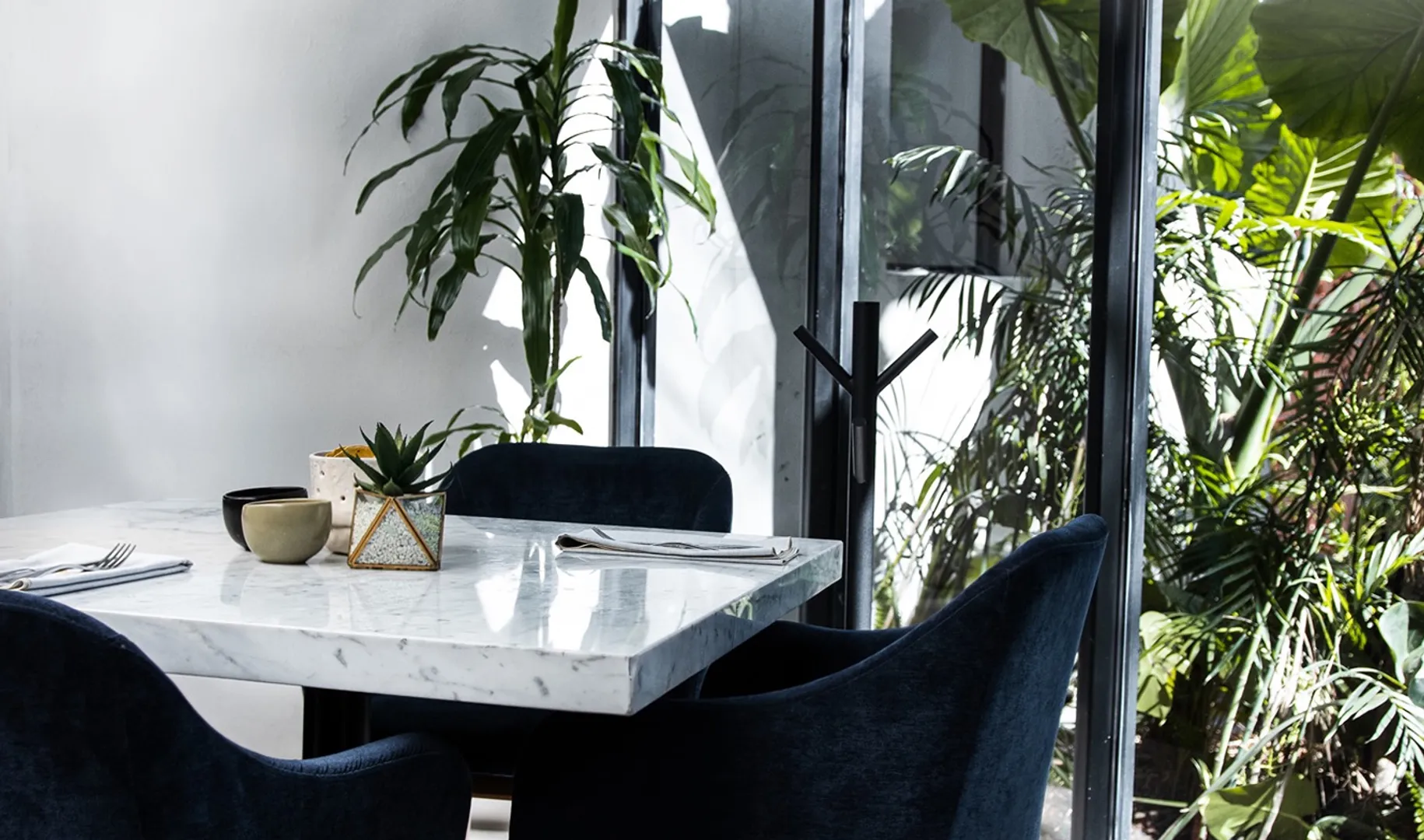 La Colonia - Imagen 1