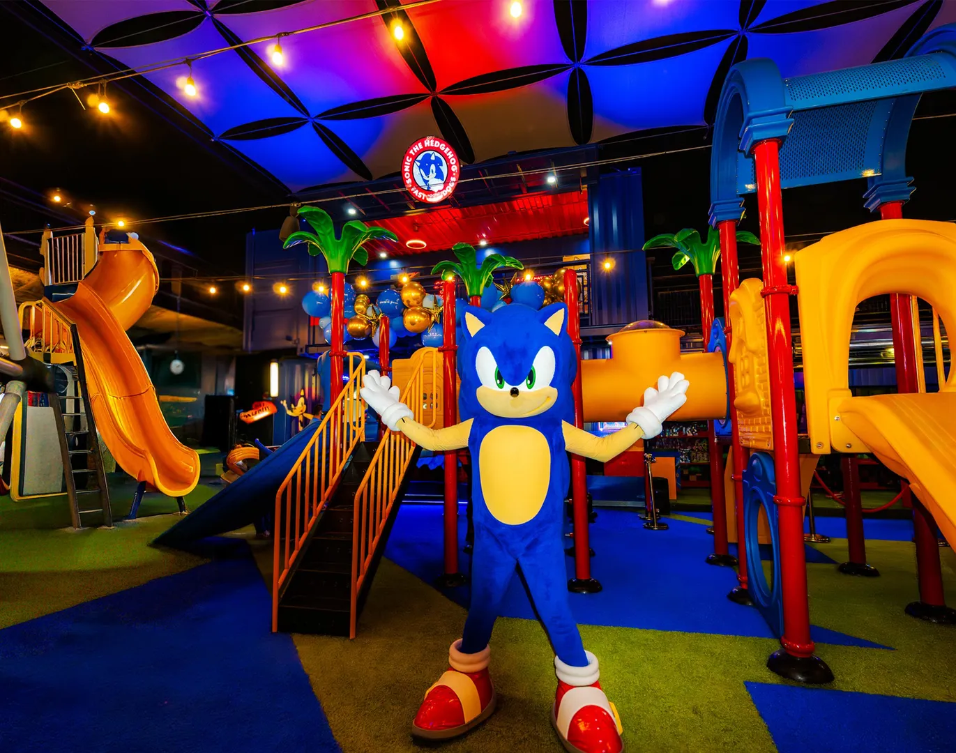 Sonic Fast Dogs - Imagen 1