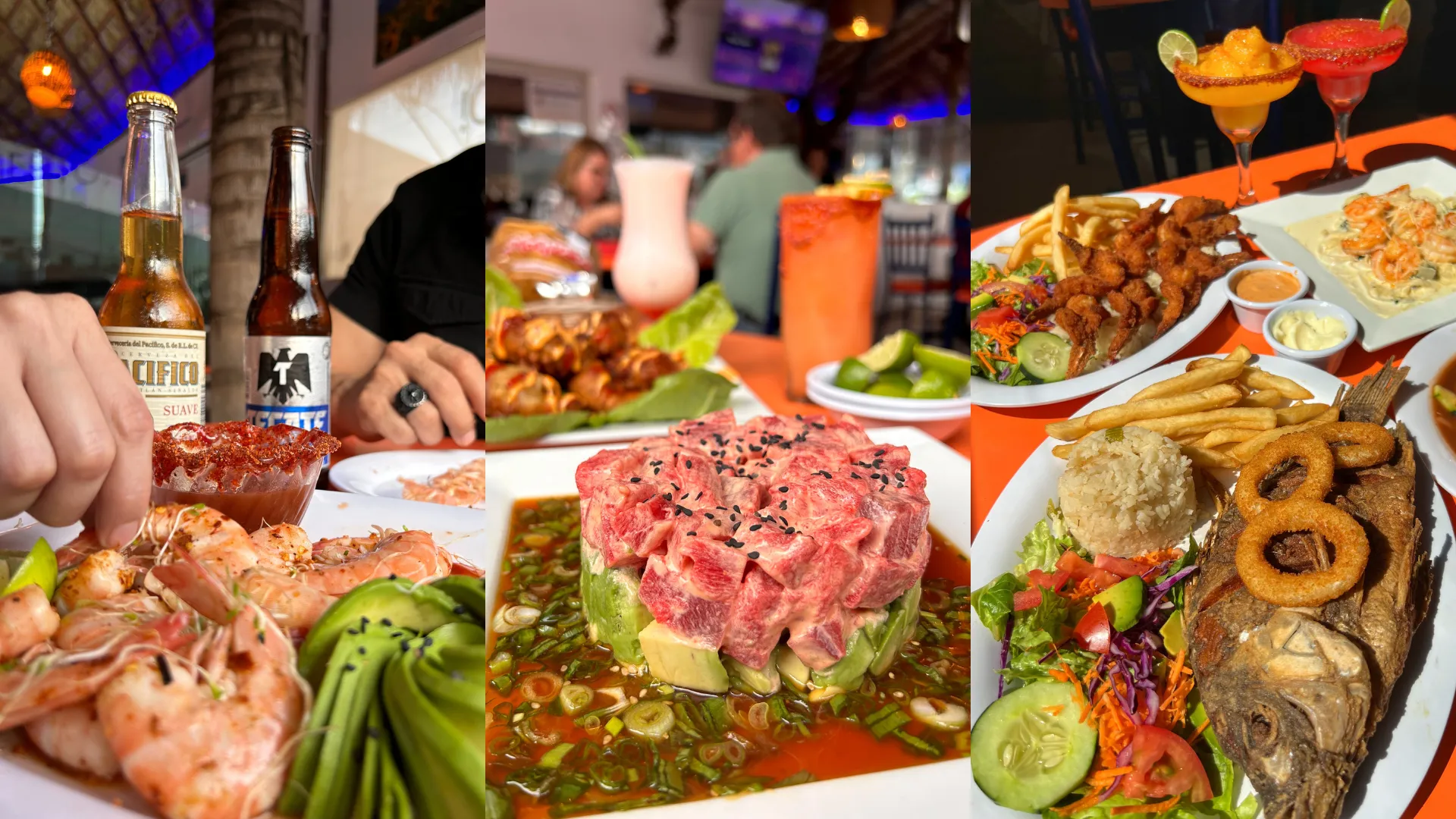 Maryscoco Burócratas