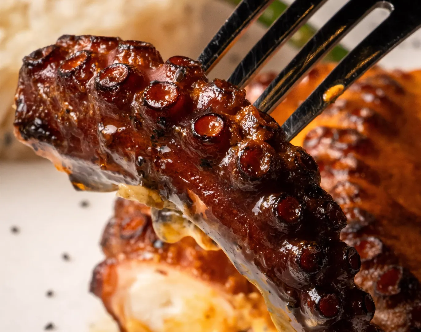 Vernáculo, restaurante en Nuevo León