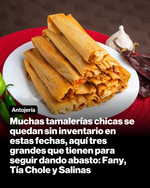 Muchas tamalerías chicas se quedan sin inventario en estas fechas, aquí tres grandes que tienen para seguir dando abasto: Fany, Tía Chole y Salinas