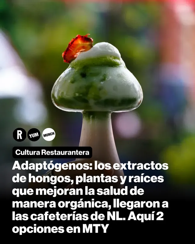 Adaptógenos: los extractos de hongos, plantas y raíces que mejoran la salud de manera orgánica, llegaron a las cafeterías de NL. Aquí 2 opciones en MTY