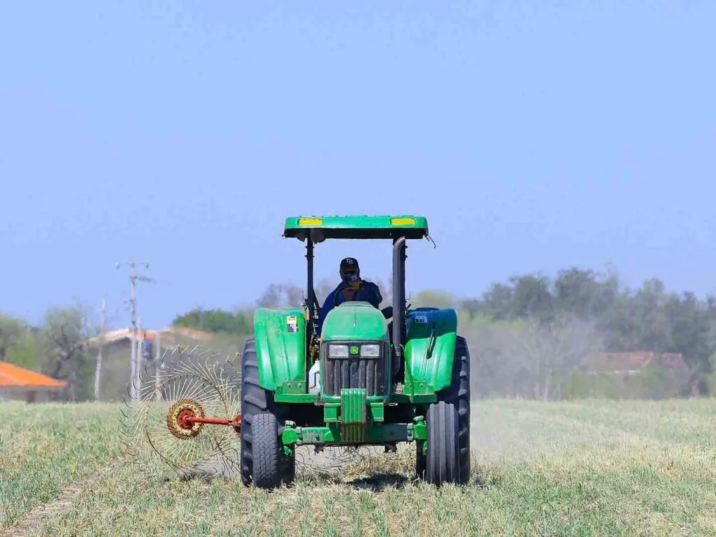 Impulsa UANL cultivo de cereales en beneficio del sector agropecuario