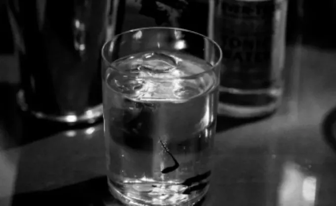 Salus: El Elixir del Equilibrio entre Cuerpo y Espíritu
