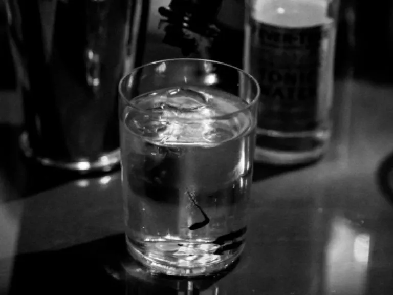 Salus: El Elixir del Equilibrio entre Cuerpo y Espíritu