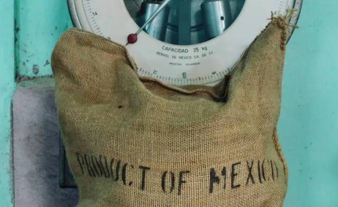 Café mexicano: el oro que regalamos al mundo