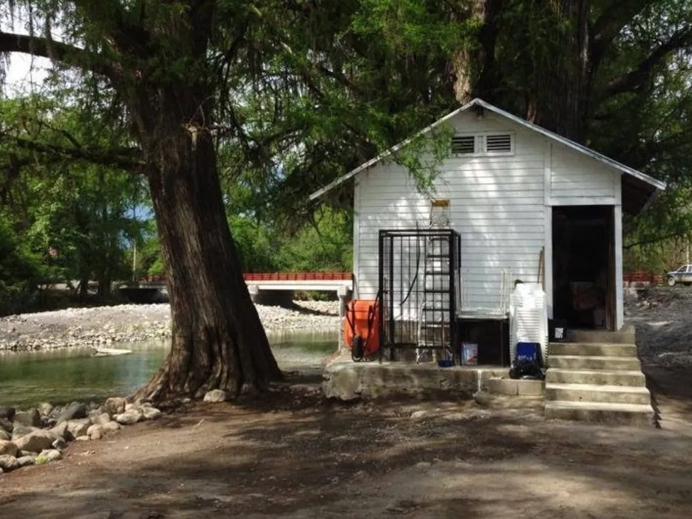 Allende: donde las comadres son leyenda