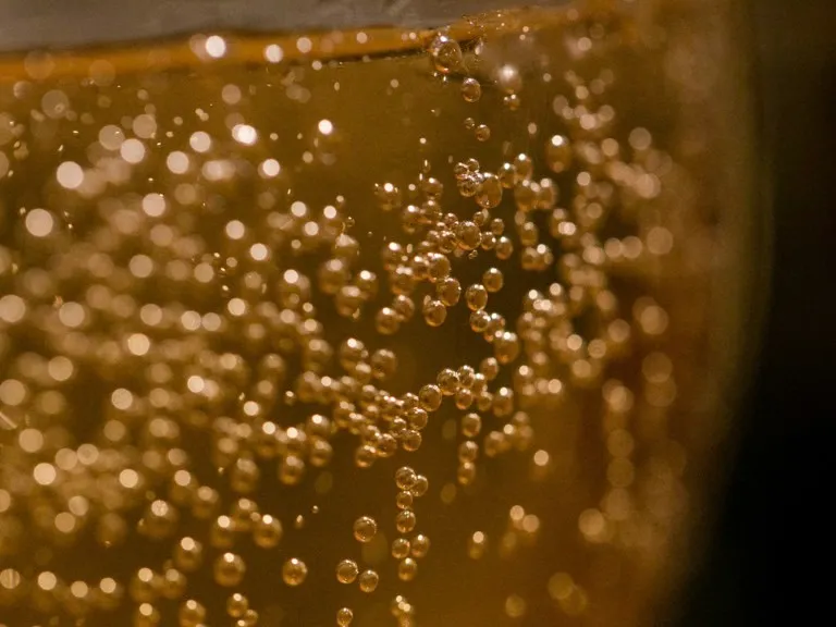 Gutta: El Elixir de los Exploradores, entre Sal y Espuma