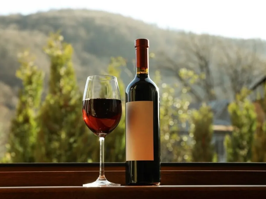 El vino mexicano hoy en día