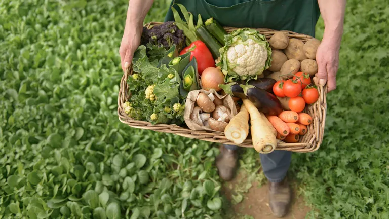 Cómo saber qué comprar orgánico