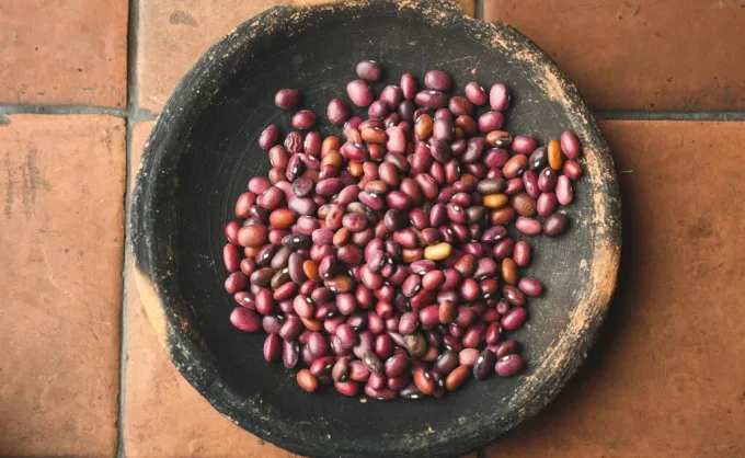 4 ingredientes nacionales que realzan el sabor en Vernáculo