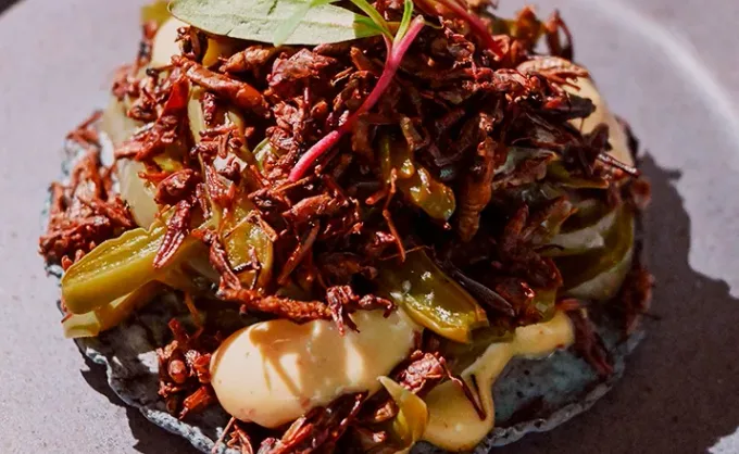 ¿Te gustan los chapulines y las hormigas? Lo que pasa es que ¡no los haz probado! Tatemate, el mexicano solo para conocedores.
