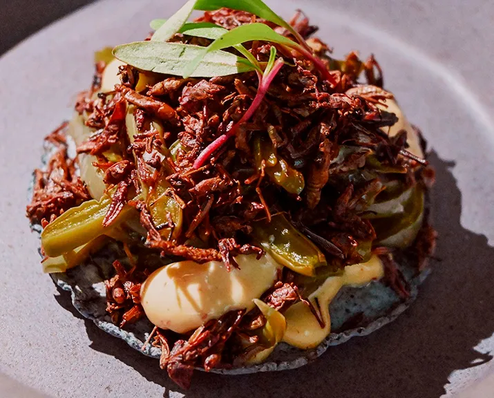 ¿Te gustan los chapulines y las hormigas? Lo que pasa es que ¡no los haz probado! Tatemate, el mexicano solo para conocedores.