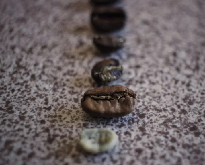 Antonio Alanís, experto tostador te comparte los secretos del tueste perfecto del café